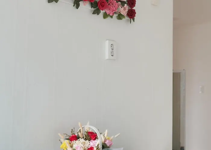 서울 홍대 풀게스트하우스2 홍대입구역7번출구 넓은공간 2room 단독전체사용 파티가능 빌라 서울특별시